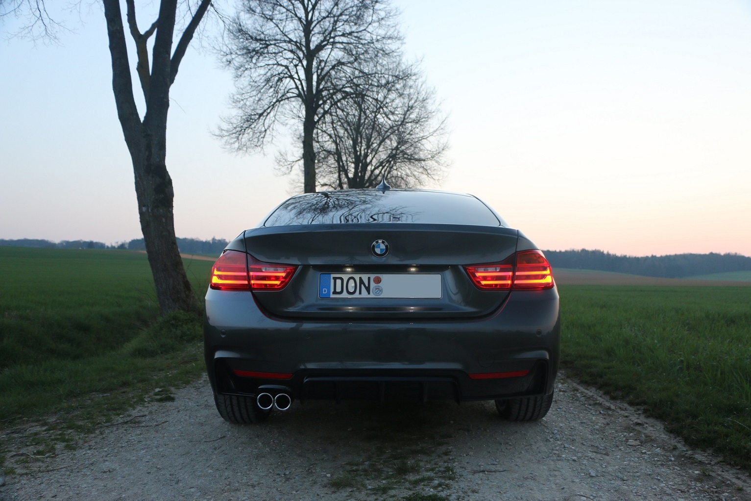 BMW (11)
