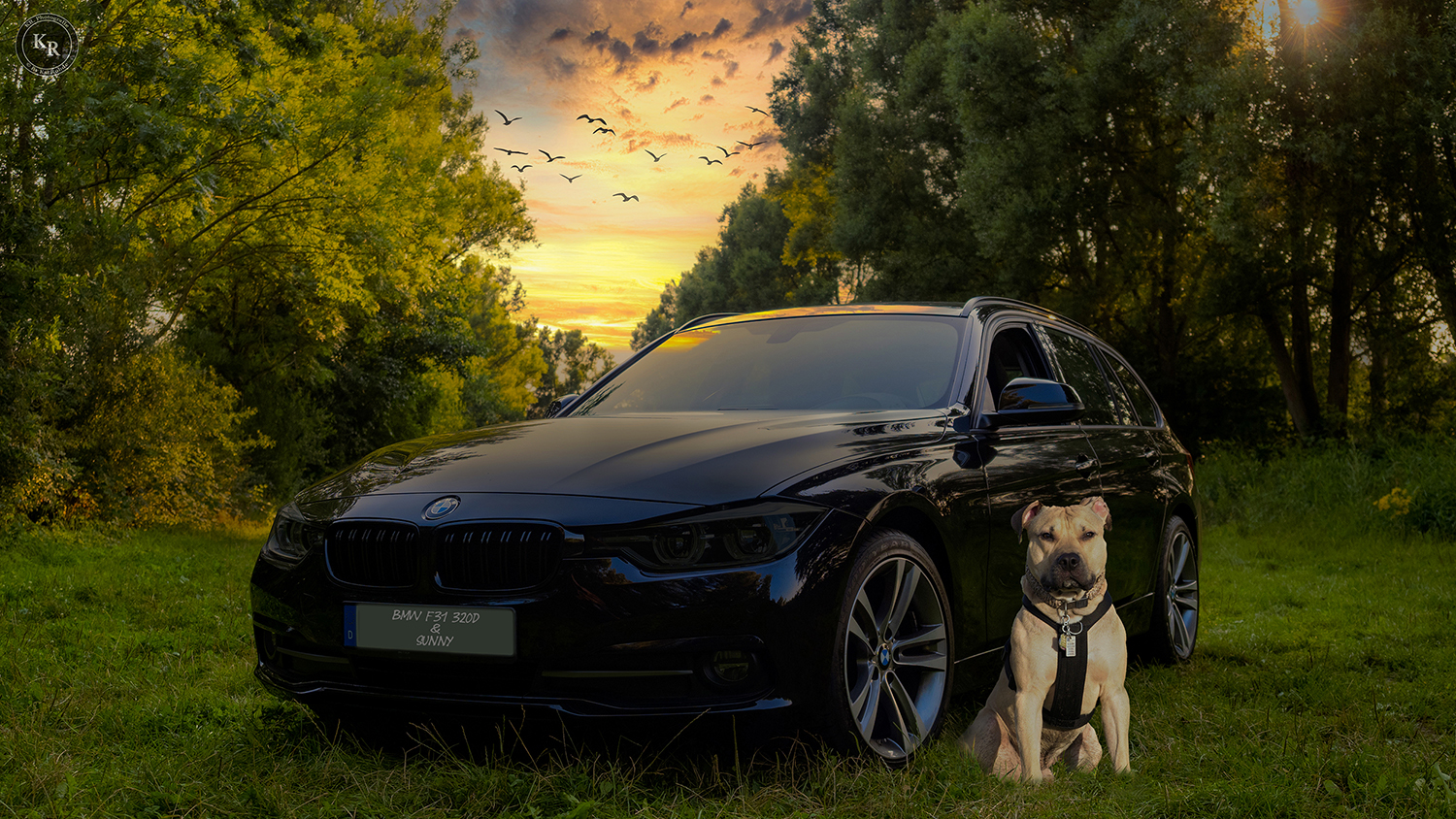 Sunny und der BMW F31 320D Touring