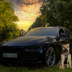 Sunny und der BMW F31 320D Touring